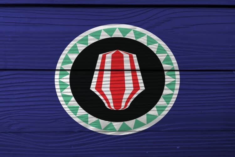 Image: Achisatha/stock.adobe.com